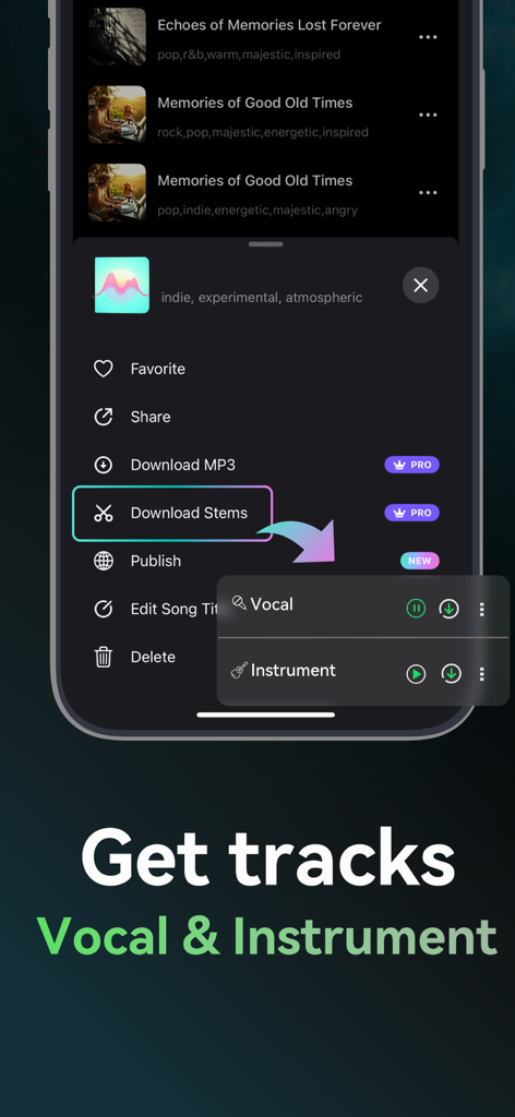 Songdio - AI Music Video Maker - Songdio App-Oberfläche, die die Option zum Herunterladen separater Gesangs- und Instrumentalspuren zeigt