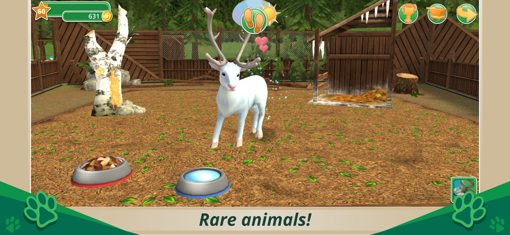 Ciervo blanco raro en un recinto personalizado con cuencos de comida y agua