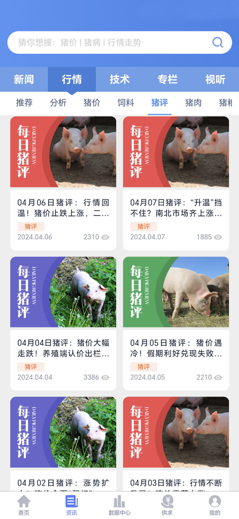 Daily pig market review articles in the Yang Zhu Bao app