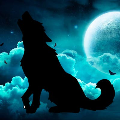 animals_36