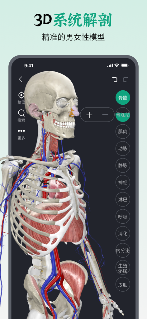 Mobile interface of Wankang 3D Human Anatomy app featuring a detailed skeletal and vascular model