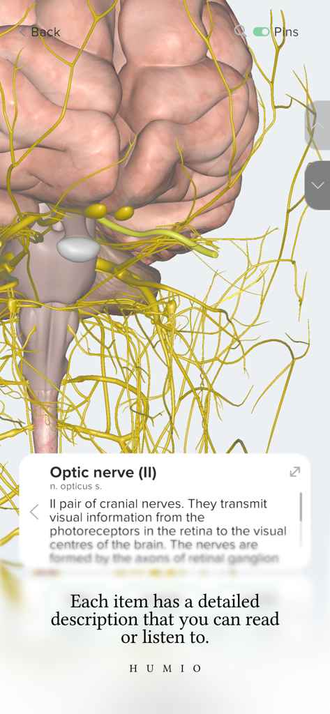 Humio: 3D Human Anatomy - Modelo 3D del cerebro humano con el nervio óptico resaltado y un cuadro de descripción anatómica