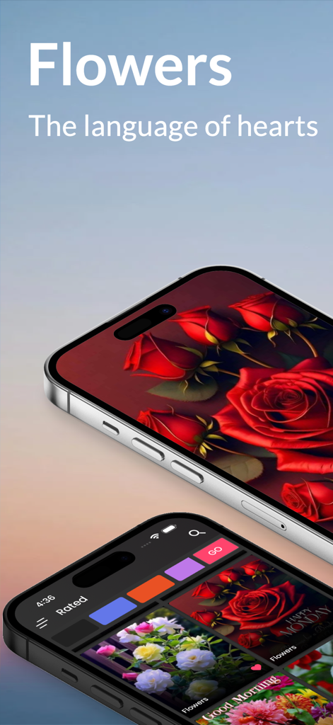 Good Morning Flowers - Good Morning Flowers app interface showing red roses and daily greeting cards