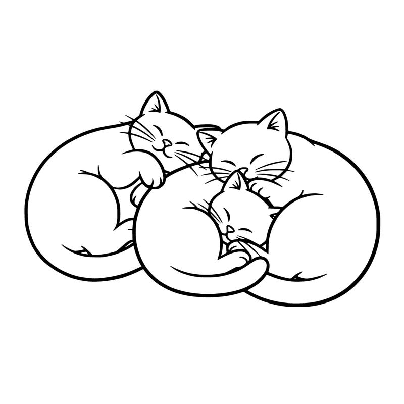 cute cats sleeping