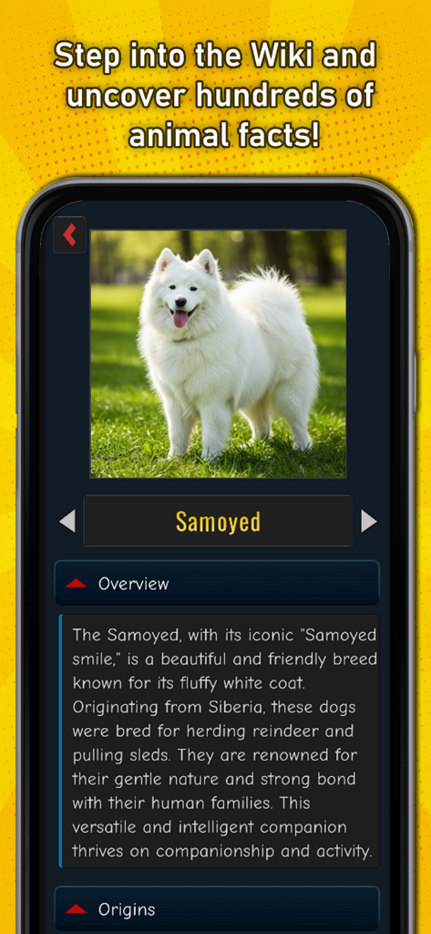 Animal facts wiki page showing information about a Samoyed dog