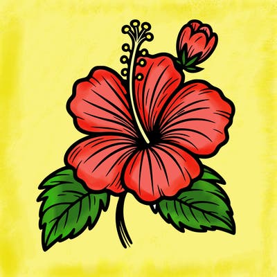 hibiscus flower