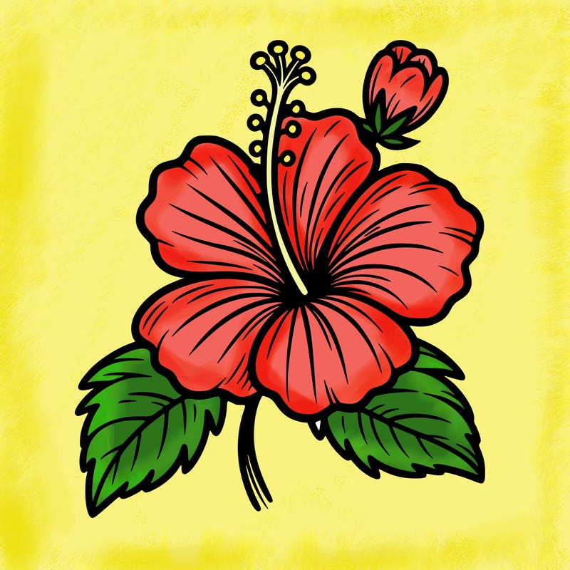 hibiscus flower