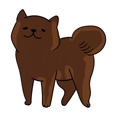 animals_29