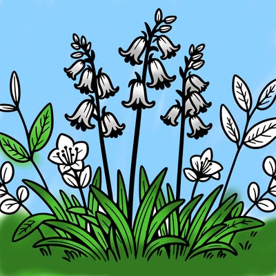 english bluebell flower