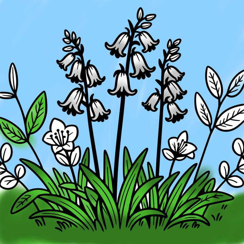 english bluebell flower