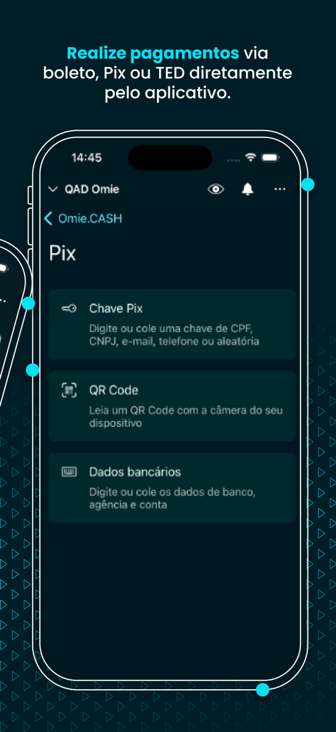 Omie - Interface do aplicativo Omie no iPhone exibindo opções de pagamento para Pix e transferências bancárias