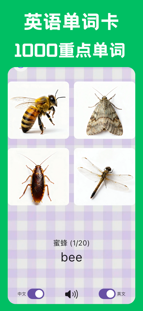 Bilingual English and Chinese vocabulary flashcards for children featuring images of insects and pronunciation tools.