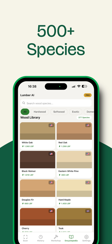 Wood Identifier: AI Lumber - さまざまな種類の木材とその硬度評価を示す木材種データベース