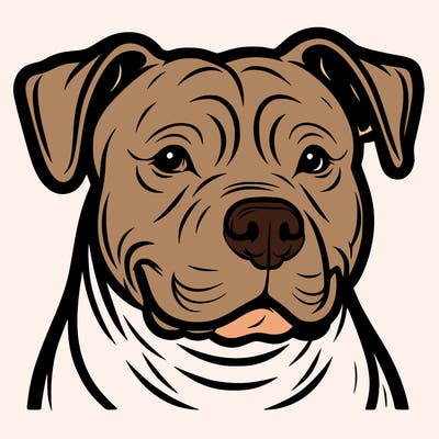 pitbull