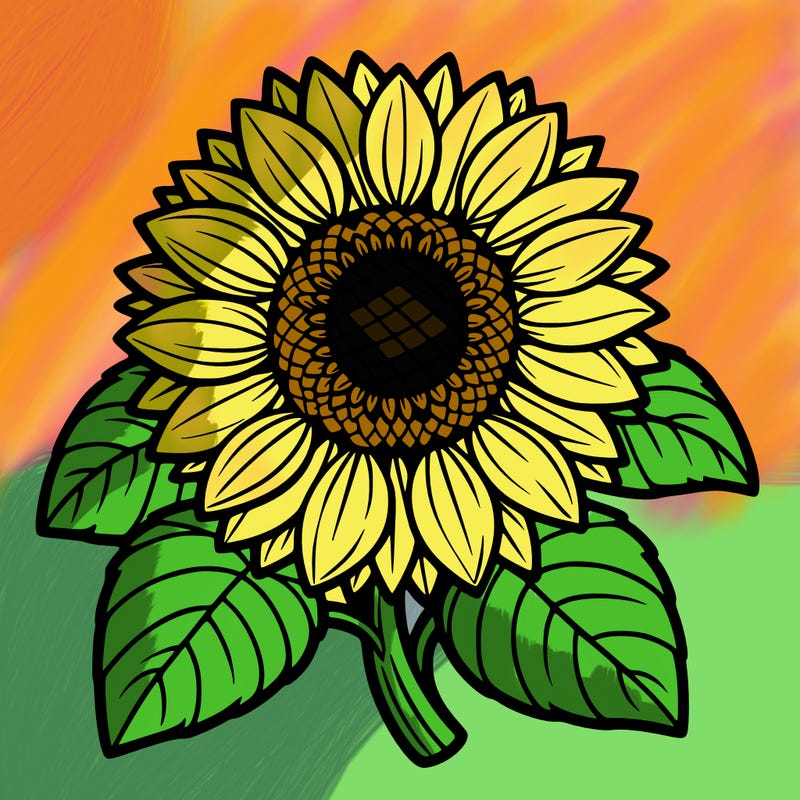 sunflower