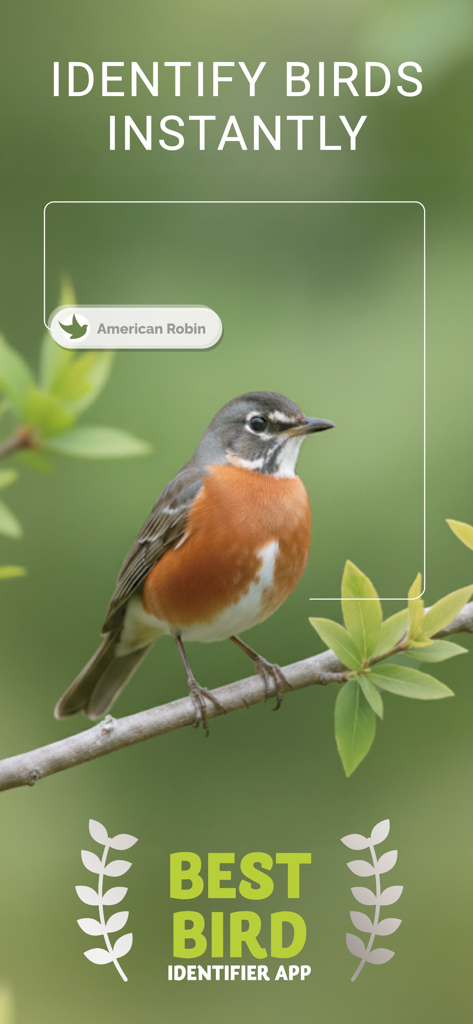 La aplicación Identificador de Aves identifica instantáneamente un Mirlo Americano