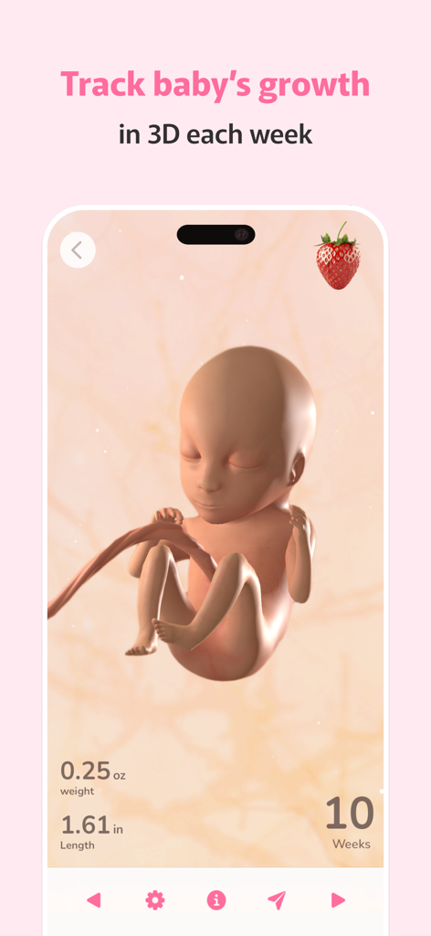 Capture d'écran de l'application WeMoms affichant un modèle 3D d'un fœtus de 10 semaines avec ses mesures de poids et de taille.