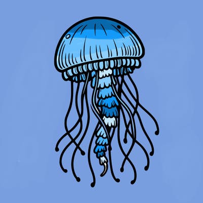 jellyfish
