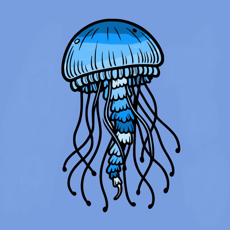 jellyfish