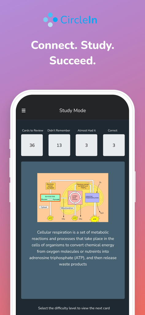 CircleIn- Circle in Daily - Interface do aplicativo CircleIn mostrando o Modo de Estudo com um flashcard de respiração celular e estatísticas de progresso de aprendizado