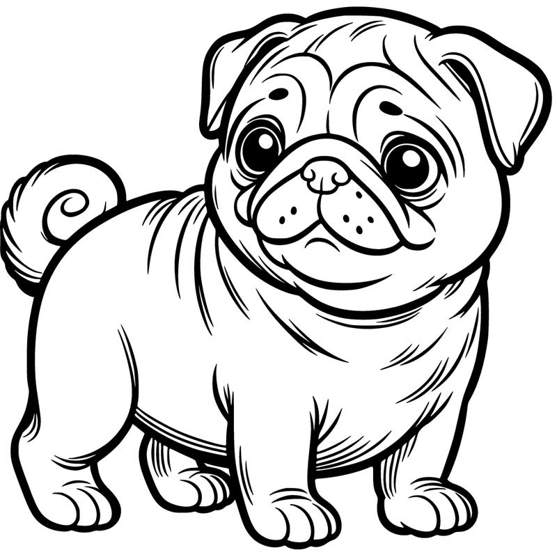 pug