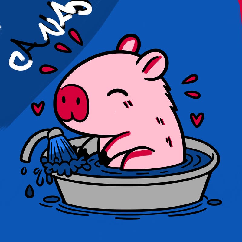 capybara taking a bath