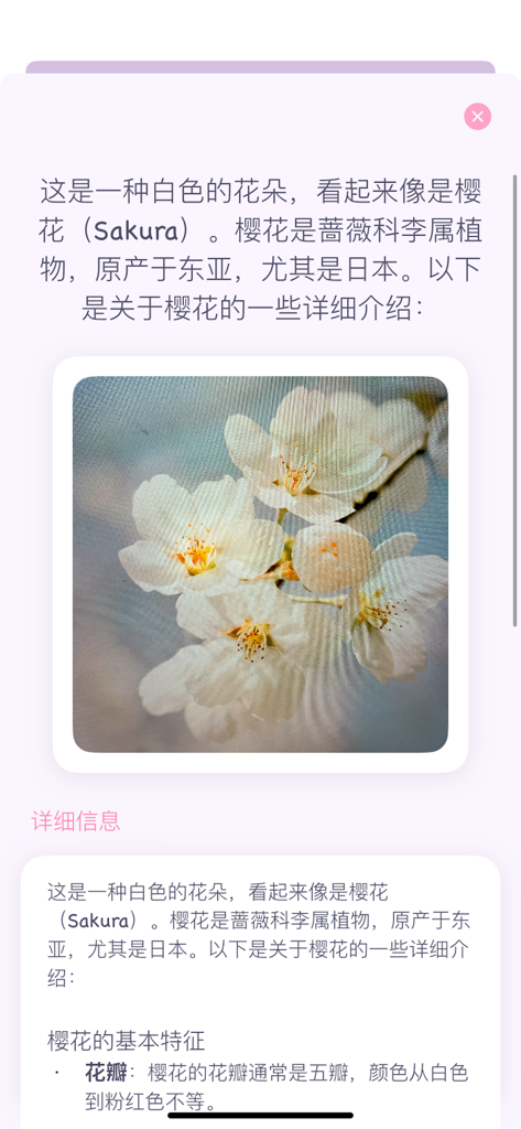 拍照识花 - A smartphone screen displaying the identification result of a white cherry blossom in the Identify Flowers app.