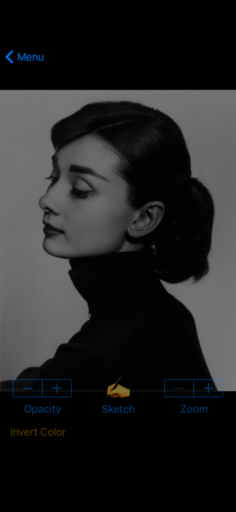 Vermeer's Lens: AR Drawing - Interface of Vermeer's Lens app showing a black and white portrait with sketch and opacity controls