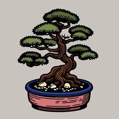 japan bonsai
