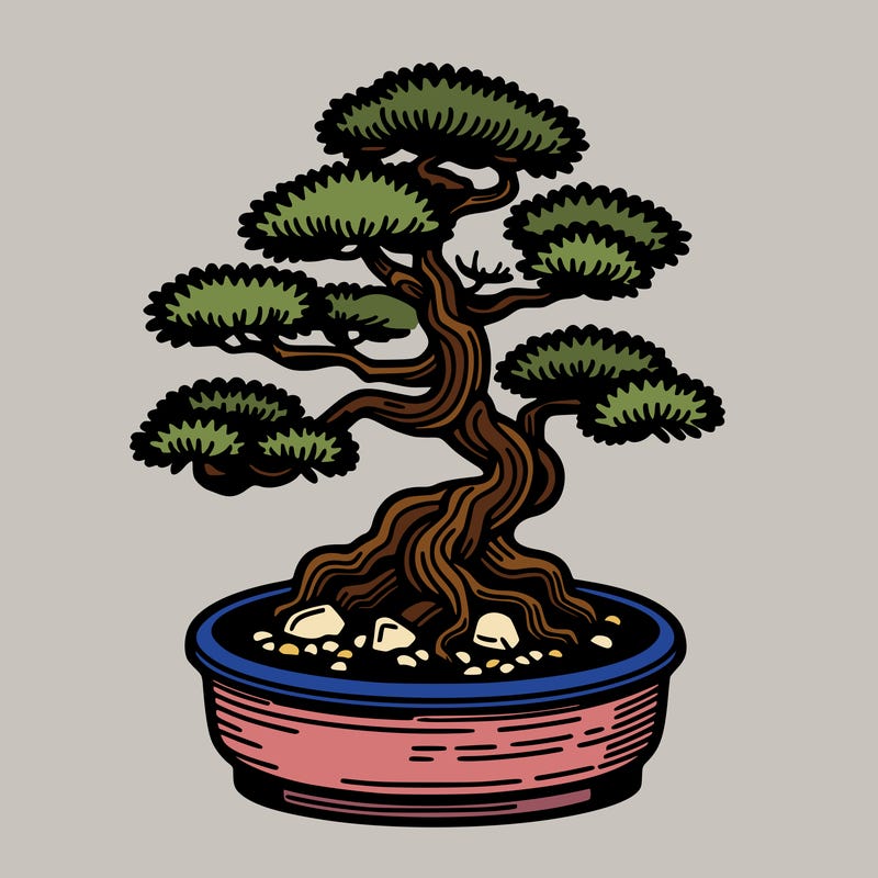 japan bonsai