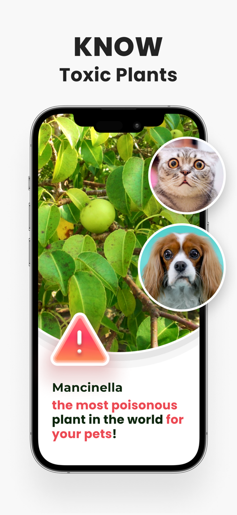 Plant Identifier - PlantMe - PlantMe app screenshot showing identification of a toxic plant for cats and dogs