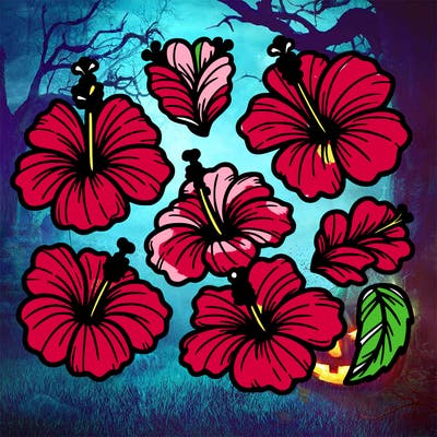 🌺🌺🌺🌺🌺🌺🌺