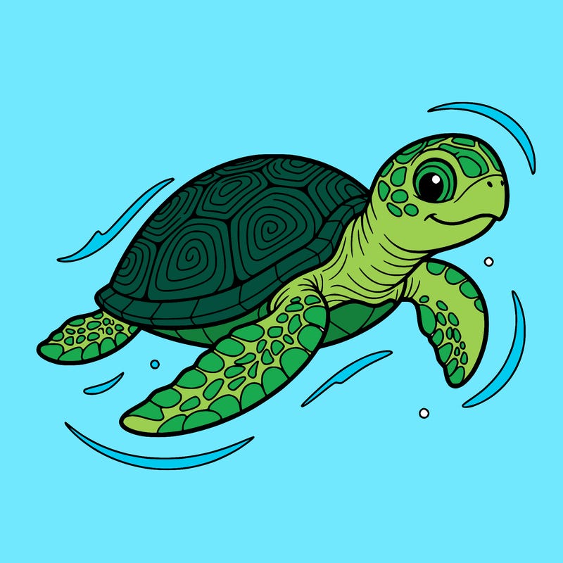 cute turtle