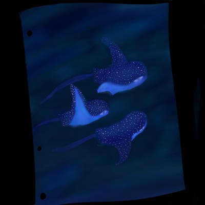 blank white page with nothing drawn on it