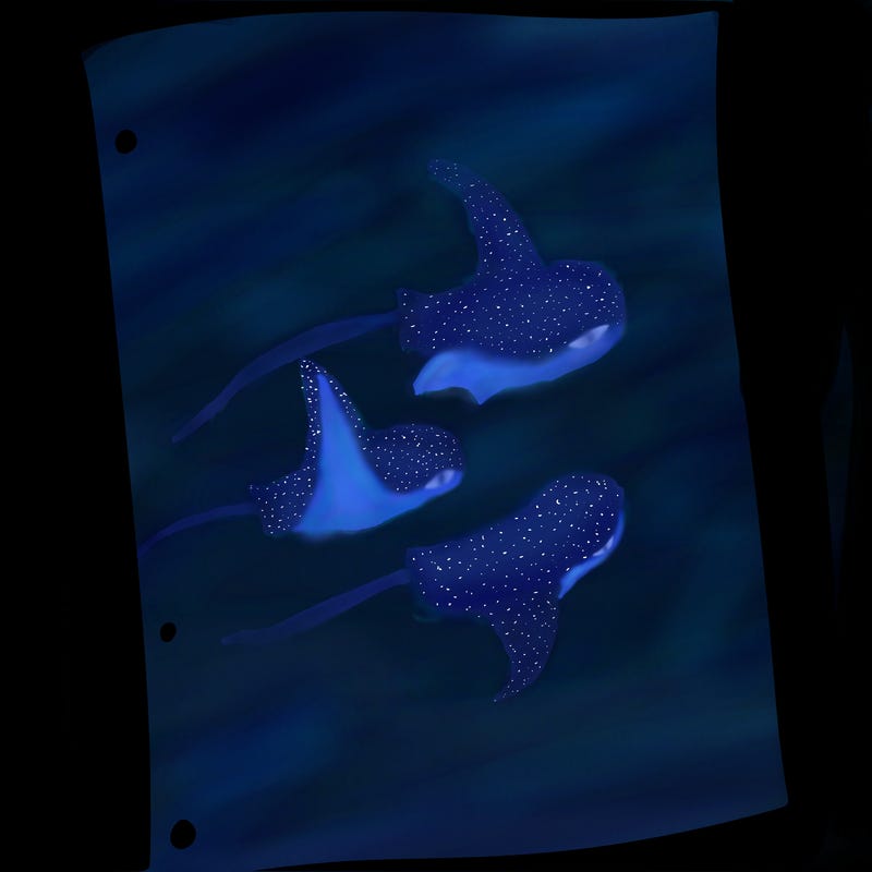 blank white page with nothing drawn on it