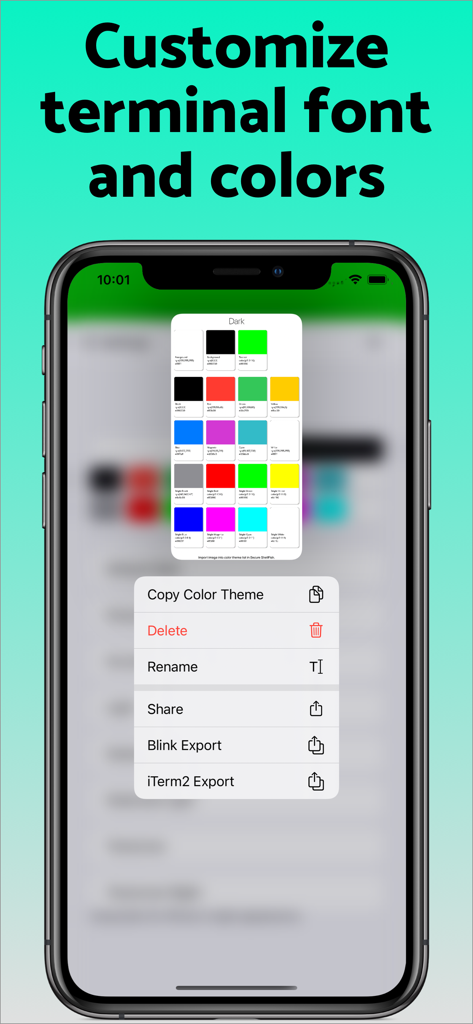 Secure ShellFish app interface showing options to customize terminal fonts and colors with a color palette and export menu.