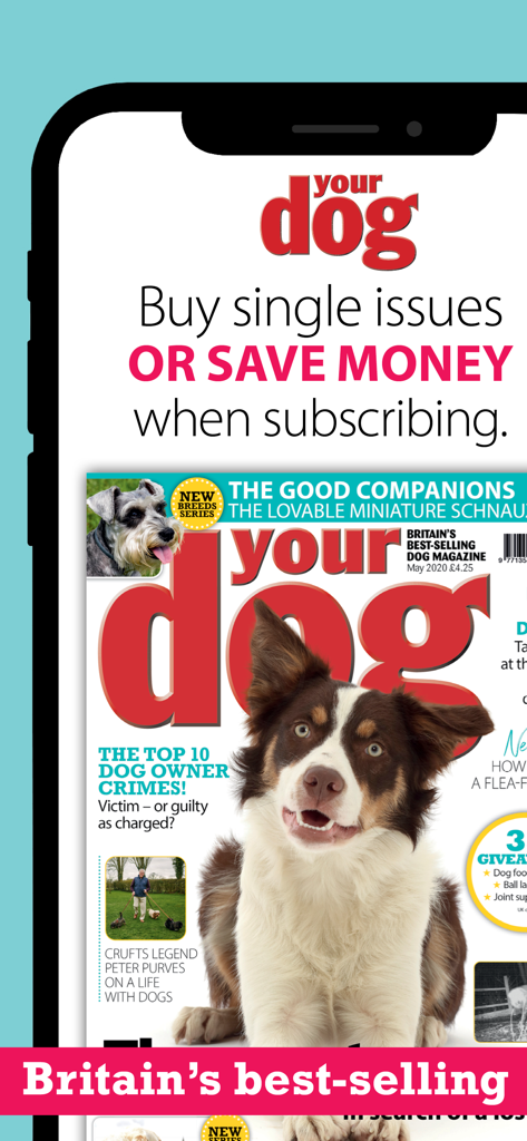 Your Dog - Screenshot of the Your Dog app highlighting subscription options and featuring a magazine cover with a border collie.