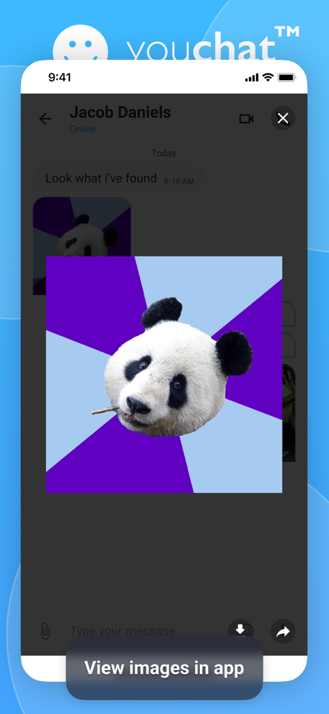 YouChat2.0 - Interfaccia dell'app YouChat che mostra una conversazione di chat con un'immagine di sticker di panda condivisa.