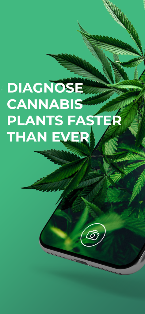 GrowDoc - GrowDoc app interface on a smartphone for diagnosing cannabis plant health using AI and a camera.
