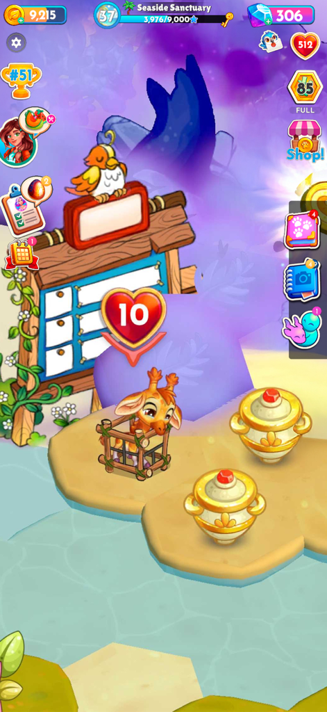 A baby giraffe in a wooden enclosure being rescued in the Paradise Paws sanctuary