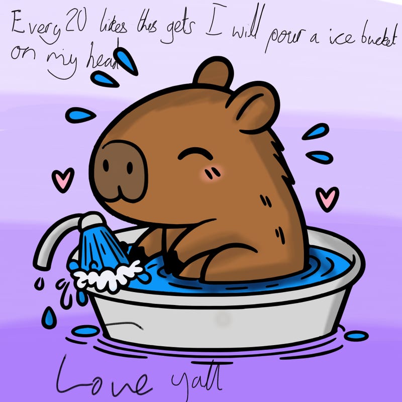 capybara taking a bath