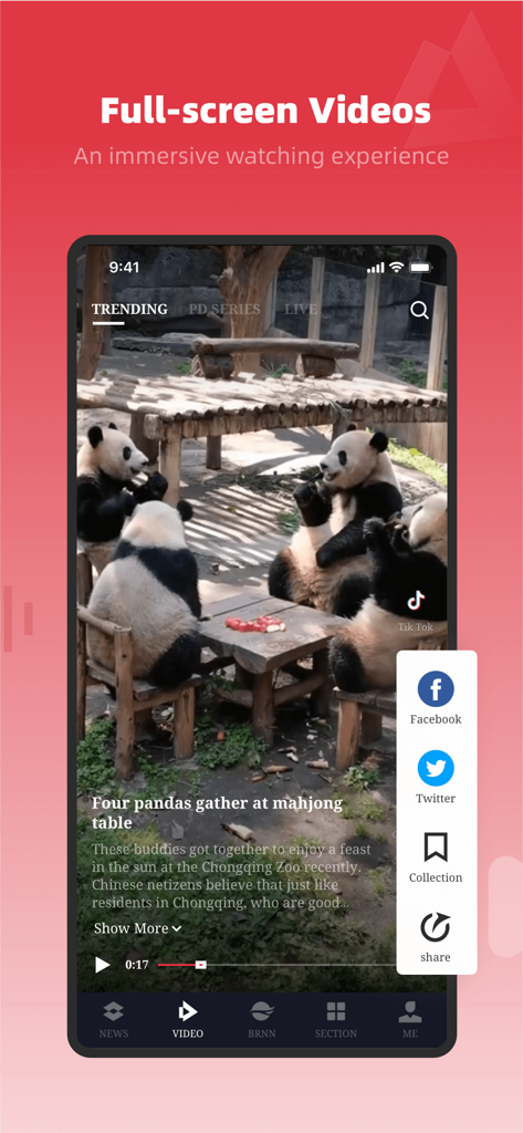 People's Daily - Peoples Daily app interface showing a full screen video of pandas