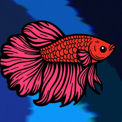betta fish