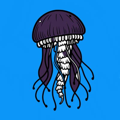 jellyfish