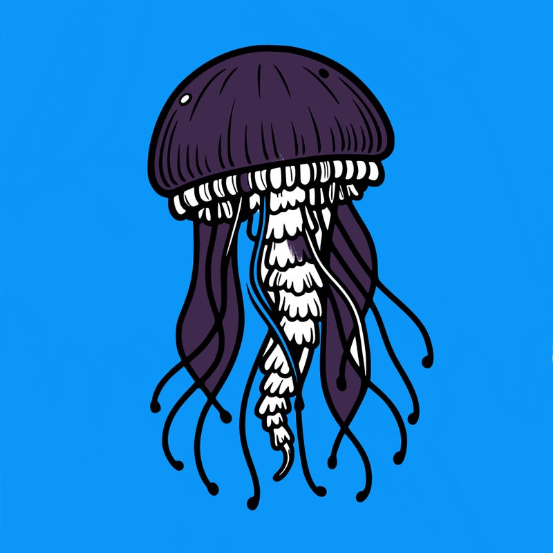 jellyfish