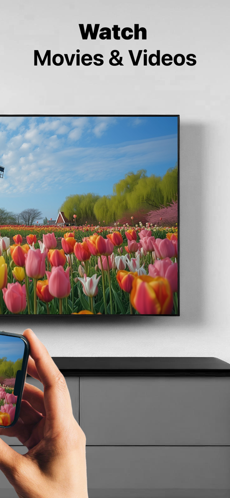 Uma pessoa usando um iPhone para espelhar um vídeo de um campo de flores em uma tela de televisão grande