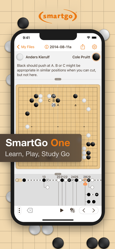 SmartGo One - SmartGo One app interface showing a Go board with expert commentary and game move tree analysis