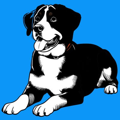 realistic greater swiss mountain dog