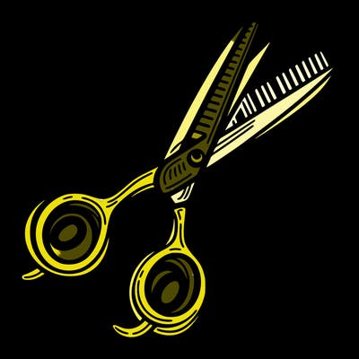 hairdressing, scissors