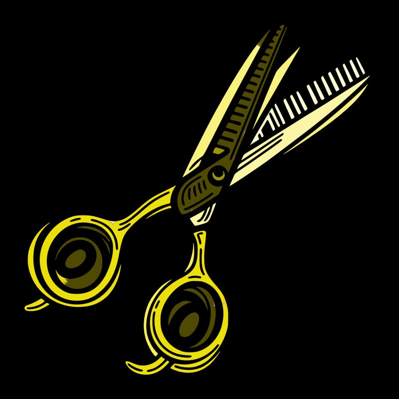 hairdressing, scissors
